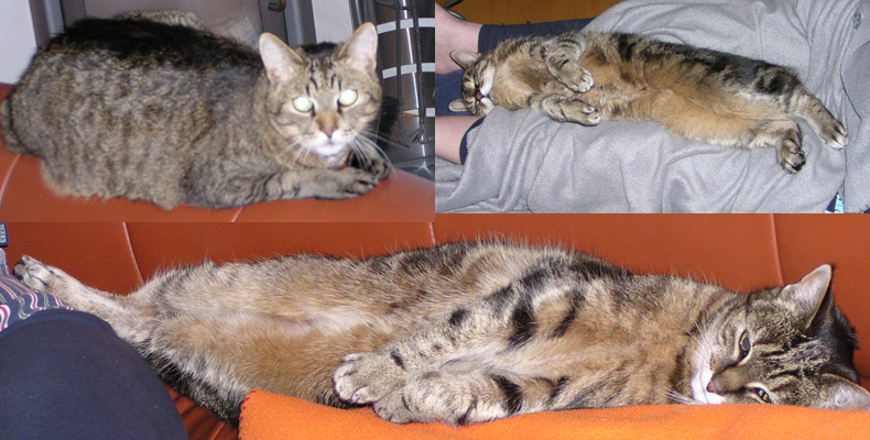 Familie_W