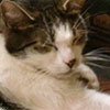 Familie S